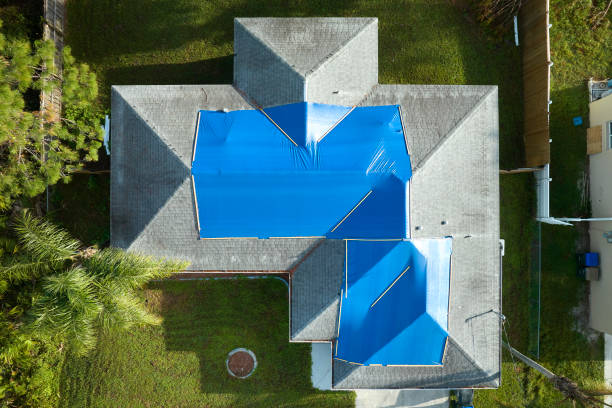 Professional Roofing Services in Shannon, GA