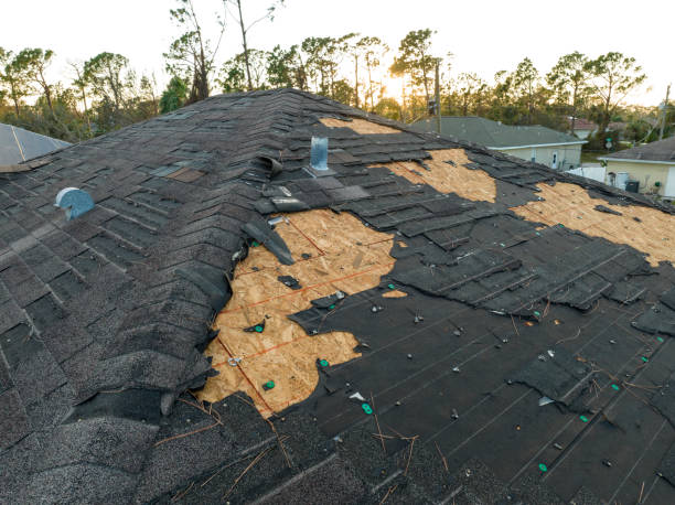Roof Coating Services in Shannon, GA